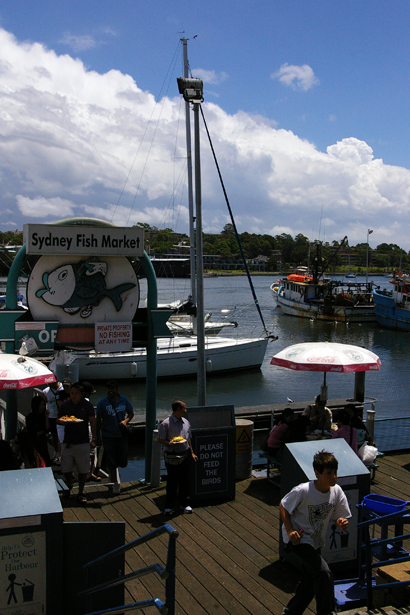 Fish Market